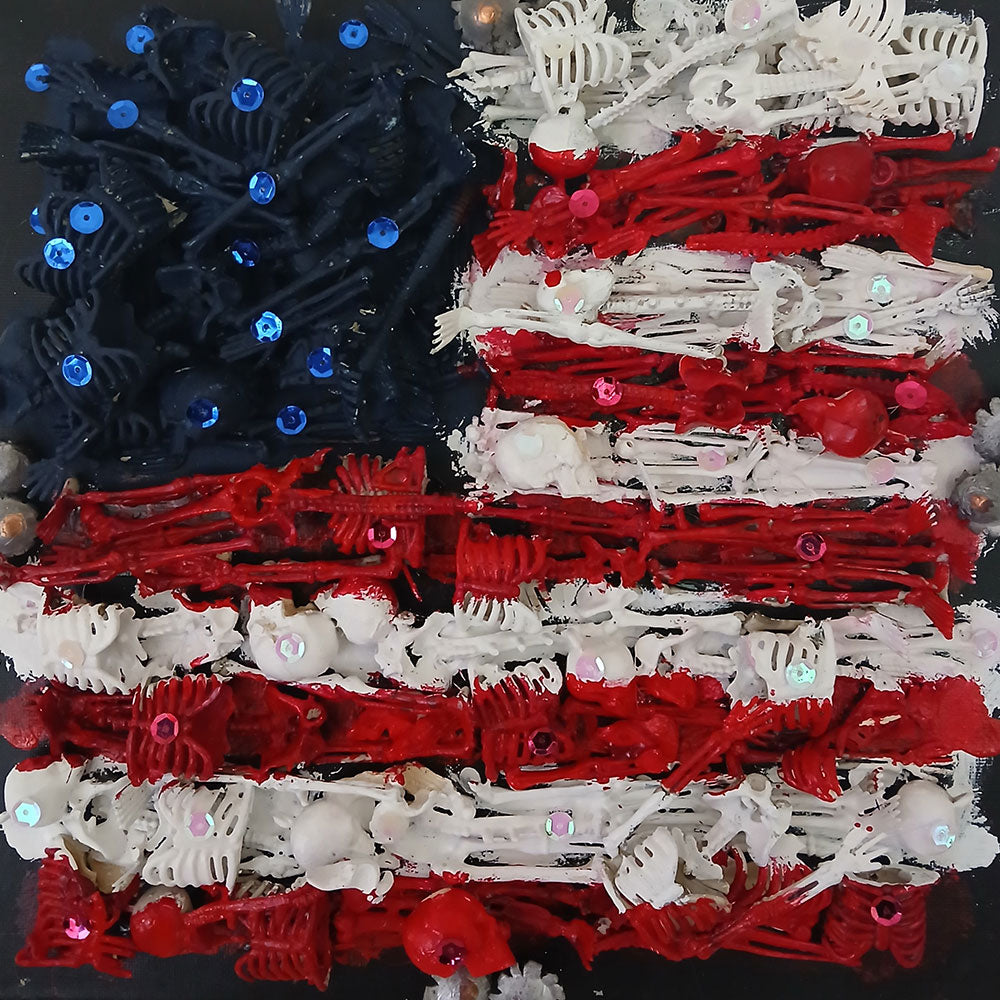 Oh Say Can't You See #4